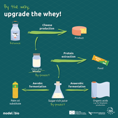 20230801_M2B_CheeseInfographic-01 20230801_M2B_CheeseInfographic-01