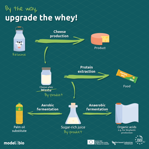 20230801_M2B_CheeseInfographic-01